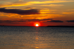 Jekyll-Island-Day-2-327