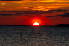 Jekyll-Island-Day-2-330