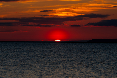 Jekyll-Island-Day-2-340