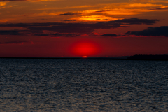 Jekyll-Island-Day-2-344
