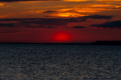 Jekyll-Island-Day-2-347