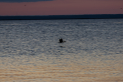 Jekyll-Island-Day-2-355