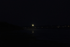 Jekyll-Island-Day-2-373