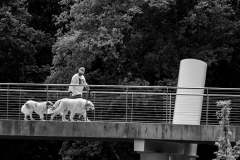 Dog walker on elevated walkway, BW Dog walker on elevated walkway, BW