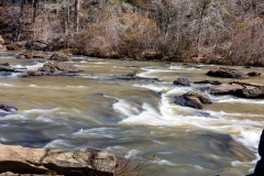 Sweetwater-Creek-State-Park-028