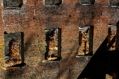 Sweetwater-Creek-State-Park-051