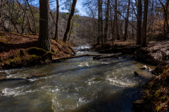 Sweetwater-Creek-State-Park-060