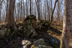 Sweetwater-Creek-State-Park-063