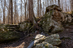 Sweetwater-Creek-State-Park-064