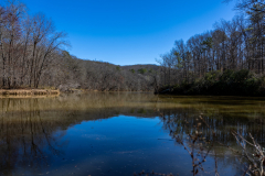 Sweetwater-Creek-State-Park-069