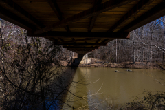 Sweetwater-Creek-State-Park-078