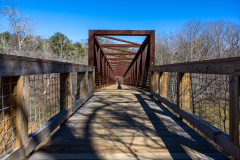 Sweetwater-Creek-State-Park-084