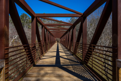 Sweetwater-Creek-State-Park-086