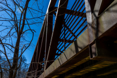 Sweetwater-Creek-State-Park-099