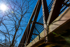 Sweetwater-Creek-State-Park-100