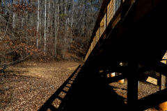 Sweetwater-Creek-State-Park-107
