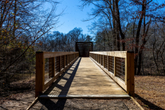 Sweetwater-Creek-State-Park-109