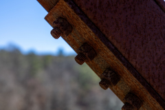 Sweetwater-Creek-State-Park-117