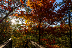 Sunrise at Tallulah Gorge Sunrise at Tallulah Gorge