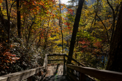 Walkway and bridge Walkway and bridge