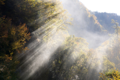 The fog mist of Tallulah Gorge The fog mist of Tallulah Gorge