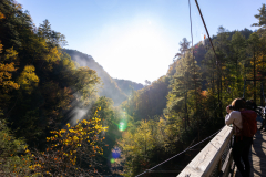 Tallulah Gorge bridge overlook Tallulah Gorge bridge overlook