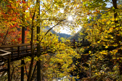 Tallulah Gorge bridge with colorful trees Tallulah Gorge bridge with colorful trees