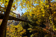 Tallulah Gorge bridge with person Tallulah Gorge bridge with person