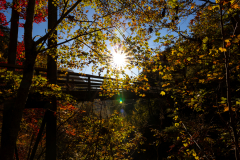 Tallulah Gorge bridge sunburst Tallulah Gorge bridge sunburst