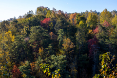 Tallulah-Gorge-Fall-2025-097 Tallulah-Gorge-Fall-2025-097