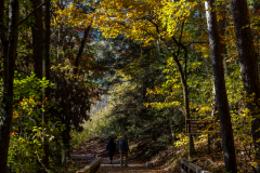 Tallulah Gorge path Tallulah Gorge path