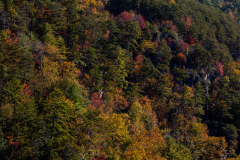 Tallulah Gorge colorful trees