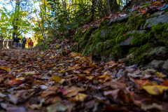 Tallulah Gorge leaf covered path Tallulah Gorge leaf covered path