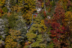 Tallulah Gorge bridge hidden behind colorful trees Tallulah Gorge bridge hidden behind colorful trees