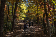 Tallulah Gorge path Tallulah Gorge path