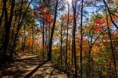 Tallulah Gorge path Tallulah Gorge path