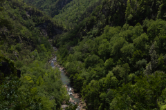 Tallulah-R8-009 Tallulah-R8-009