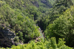 Tallulah-R8-030 Tallulah-R8-030