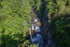 Tallulah-R8-094 Tallulah-R8-094