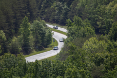 Tallulah-T7-005 Tallulah-T7-005