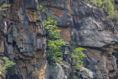 Tallulah-T7-042 Tallulah-T7-042