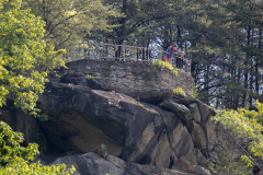 Tallulah-T7-098 Tallulah-T7-098