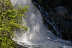 Tallulah-T7-111 Tallulah-T7-111