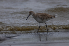 Jekyll-Island-Day-2-248