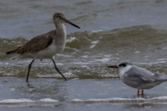 Jekyll-Island-Day-2-276