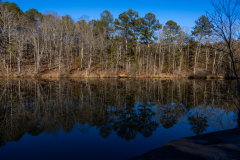 Tribble-Mill-05