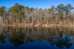 Tribble-Mill-06
