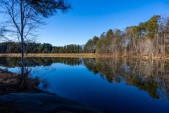 Tribble-Mill-09