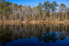 Tribble-Mill-11