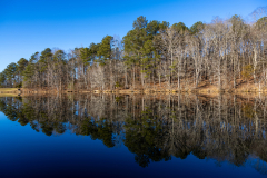 Tribble-Mill-12